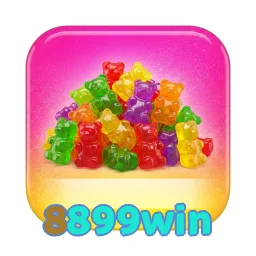 8899win